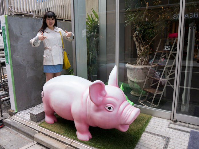 Giant Piggy Bank Sighted! - WAttention.com