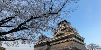 How You Can Help Kumamoto Recovery Efforts Kumamoto Castle