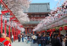 WAttention Photo Contest Spring 2016 Results WAttention Photo Contest Spring 2016 Results