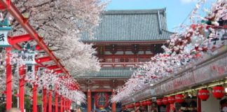 WAttention Photo Contest Spring 2016 Results WAttention Photo Contest Spring 2016 Results