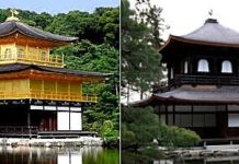 What’s Up With Wabi Sabi? Wabi Sabi