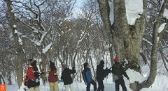 Memorable-Winter-in-Northern-Tohoku-4