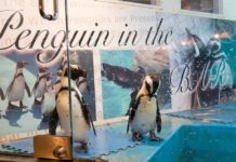 Restaurant Review : Penguin Bar penguin bar