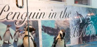 Restaurant Review : Penguin Bar penguin bar