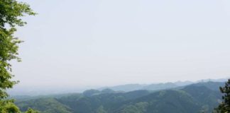 Where to Find the Crow Gods of Mt. Takao Mt. Takao