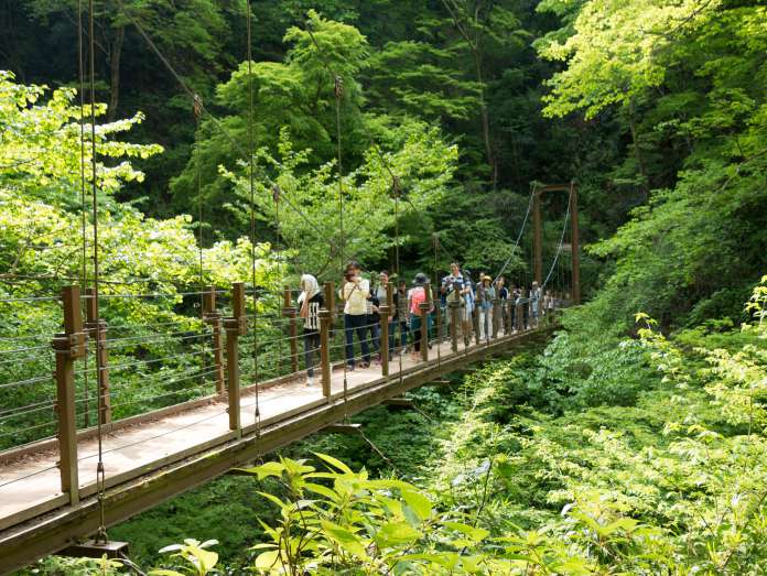 Mt. Takao