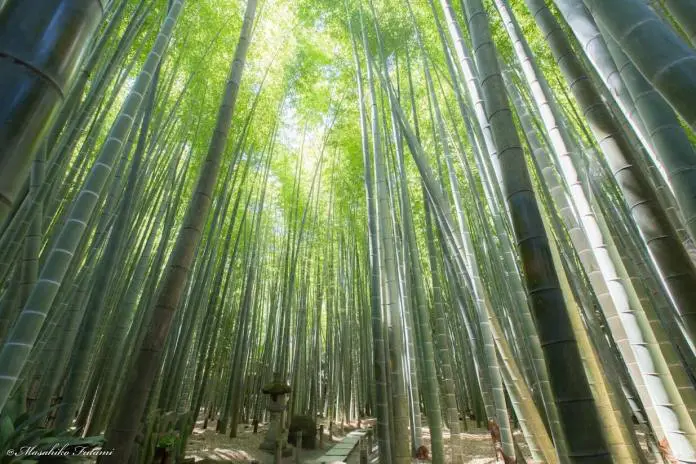 Photo Contest Summer 2016