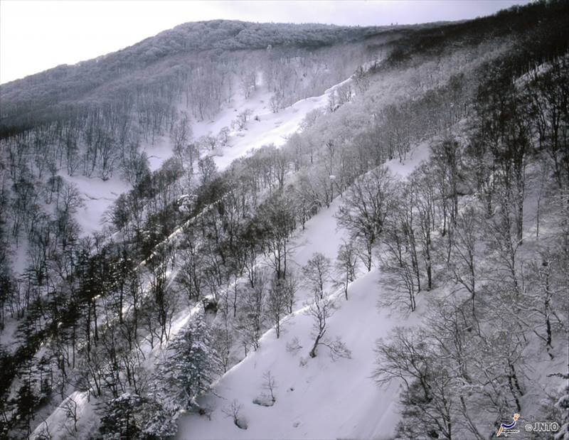 Discover the beauty of Northern Tohoku - Part I Aomori - WAttention.com