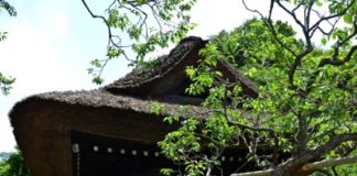 Kamakura Ajisai – Hydrangea Tour (1) : Tokei-ji Tokei-ji