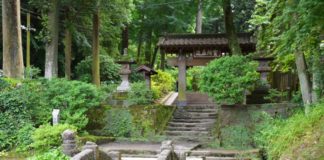 Kamakura Ajisai – Hydrangea Tour (2) : Jochi-ji Jochi-ji