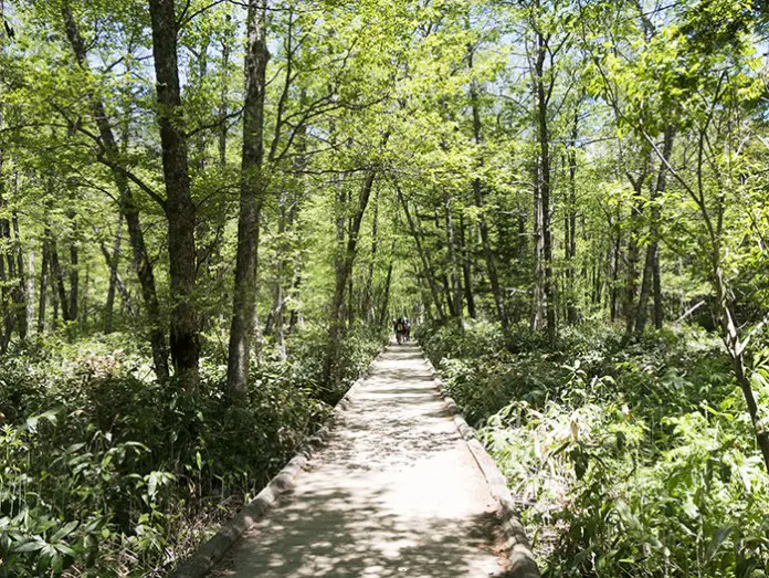 Kamikochi