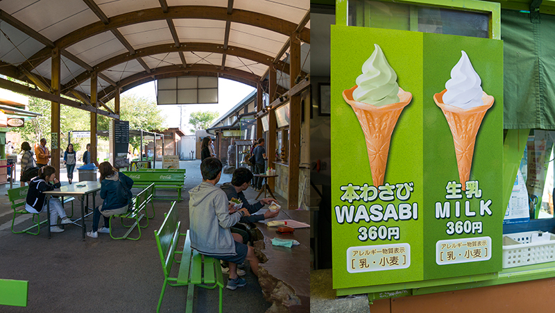 wasabi food