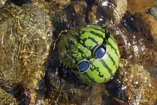 fun Japanese watermelon