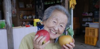 Unrivaled Beauty : Apple Fields, Aomori Prefecture