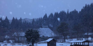 Revisiting Traditional Architectural Wisdom: Thatching Thatching