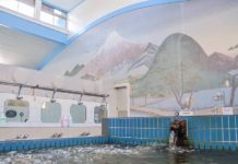 Local Japanese Sento in Tokyo to Wash Worries Away