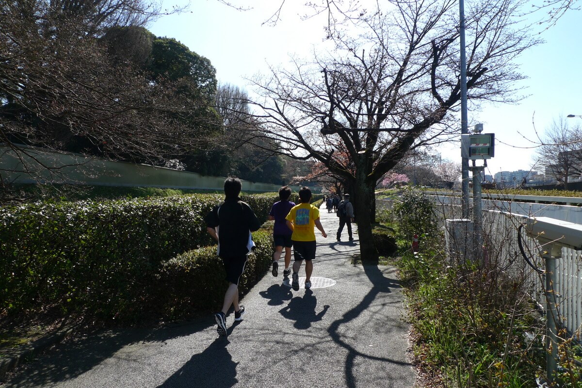 Around the Imperial Palace