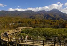 Ultimate Map of Fall Foliage Destinations in Japan : Hokkaido (3) Hokkaido