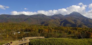 Ultimate Map of Fall Foliage Destinations in Japan : Hokkaido (3) Hokkaido