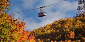 Ultimate Map of Fall Foliage Destinations in Japan : Tohoku
