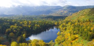 Ultimate Map of Fall Foliage in Japan : Iwate Prefecture Ultimate Map of Fall Foliage Destinations in Japan : Iwate Prefecture