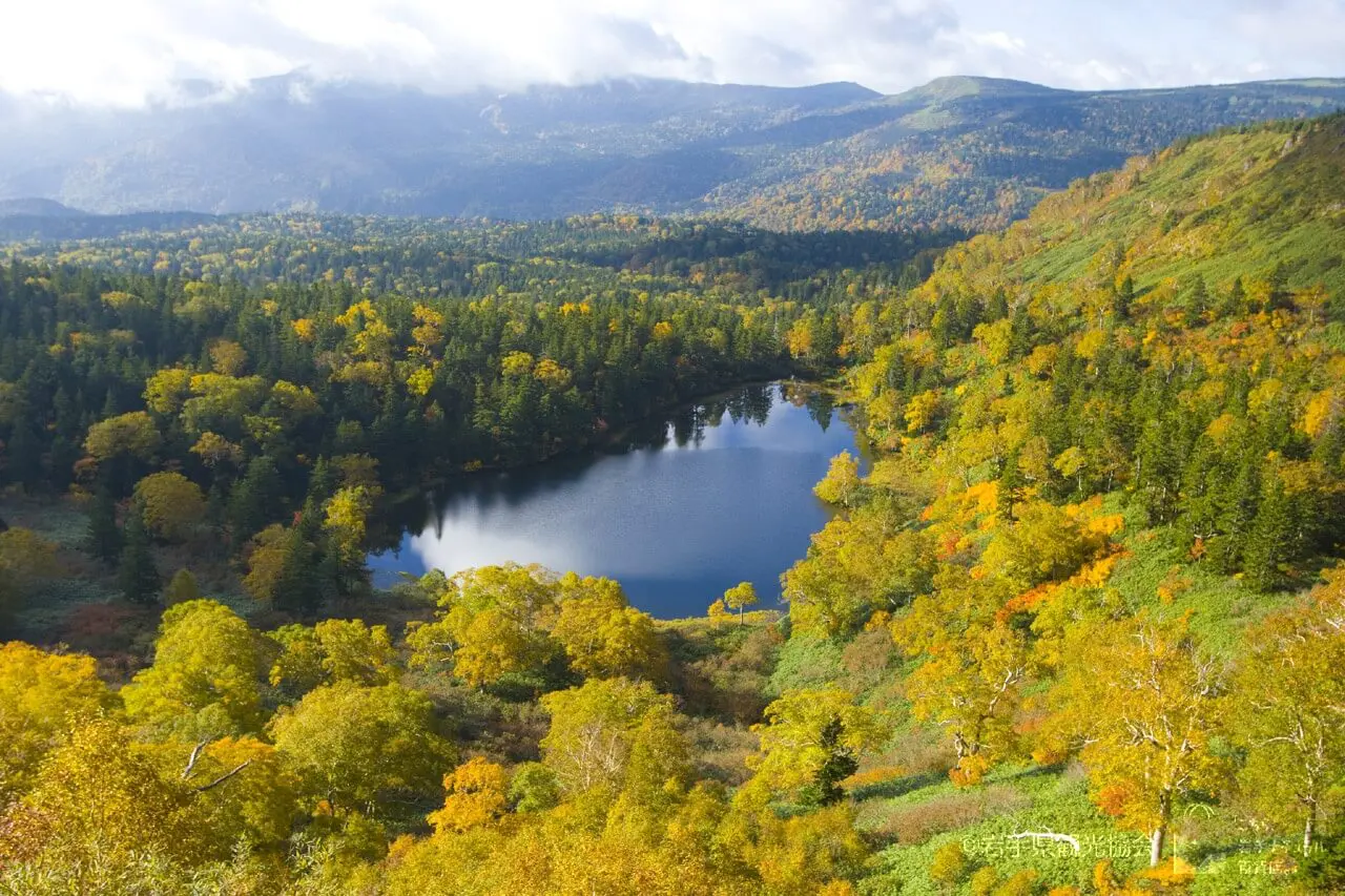Ultimate Map of Fall Foliage Destinations in Japan : Iwate Prefecture