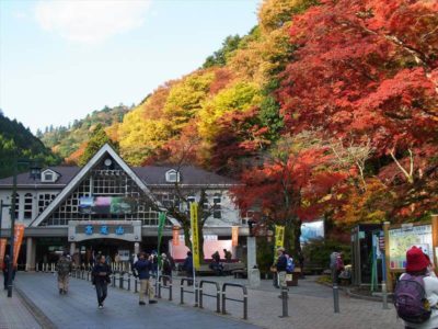Ultimate Map of Fall Foliage Destinations in Japan Tokyo (5)