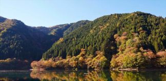 Ultimate Map of Fall Foliage Destinations in Japan Tokyo (6) Ultimate Map of Fall Foliage Destinations in Japan Tokyo (6)