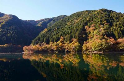 Ultimate Map of Fall Foliage Destinations in Japan Tokyo (6)