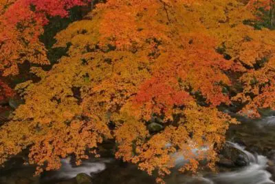 Hanazono Gorge in Kita- Ibaraki