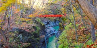 Ultimate Map of Fall Foliage Destinations in Japan : Gunma Prefecture (3)