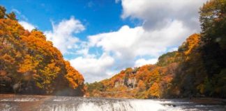 Ultimate Map of Fall Foliage Destinations in Japan : Gunma Prefecture Fukiware-no-taki Falls (吹割の滝) in Numata