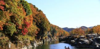 Ultimate Map of Fall Foliage Destinations in Japan : Saitama Prefecture