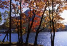 Ultimate Map of Fall Foliage Destinations in Japan : Gunma Prefecture (4)