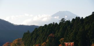 Ultimate Map of Fall Foliage Destinations in Japan Kanagawa Prefecture (2)