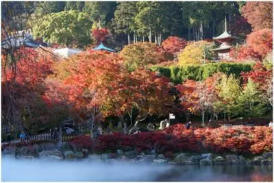 Katsuo-ji in Minoo