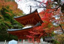 Ultimate Map of Fall Foliage Destinations in Japan : Osaka (4) Kyuan-ji Temple
