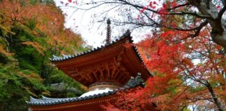 Ultimate Map of Fall Foliage Destinations in Japan : Osaka (4) Kyuan-ji Temple