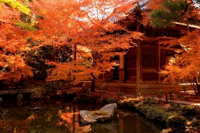 Genko-an Temple in Kyoto