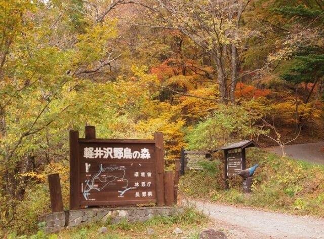 Hiking in Karuizawa