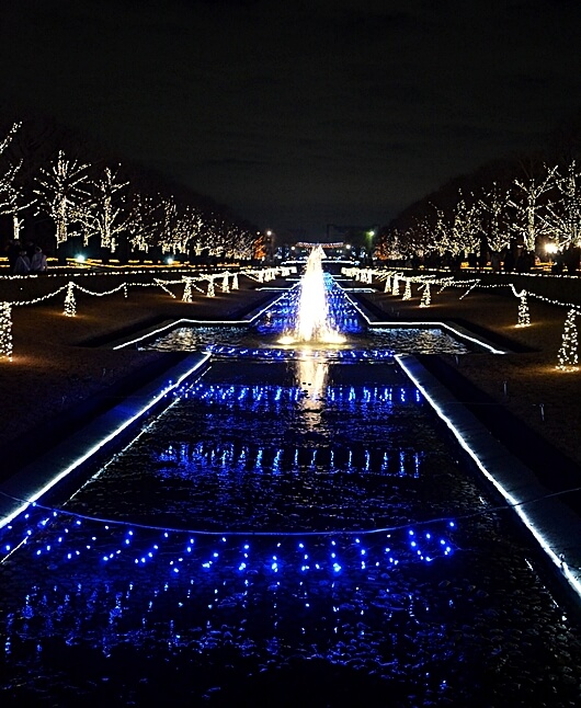 Showa Memorial Park "Winter Vista Illumination"