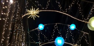 Map of Top Winter Illumination Spots in Tokyo (4)