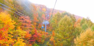 Ultimate Map of Fall Foliage Destinations in Japan : Niigata Prefecture