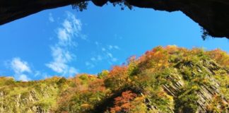 Ultimate Map of Fall Foliage Destinations in Japan : Niigata Prefecture (3)
