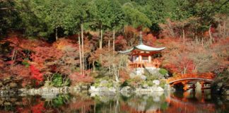 Ultimate Map of Fall Foliage Destinations in Japan : Kyoto (6)