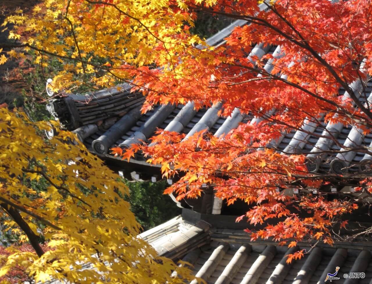 Shouji-ji Temple in Kyoto