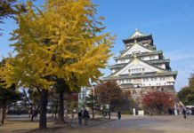 Ultimate Map of Fall Foliage Destinations in Japan : Osaka (5) Fall Foliage Destinations in Japan : Osaka