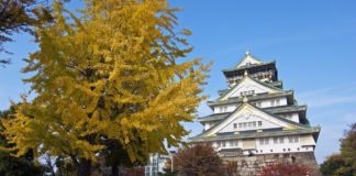 Ultimate Map of Fall Foliage Destinations in Japan : Osaka (5) Fall Foliage Destinations in Japan : Osaka