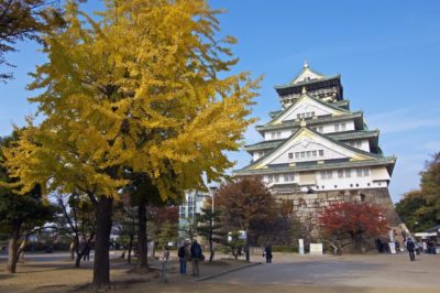 Fall Foliage Destinations in Japan : Osaka