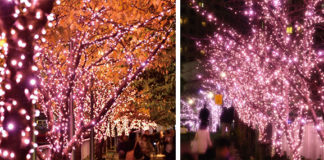 Map of Top Winter Illumination Spots in Tokyo (6) Meguro River Minna no Illumination
